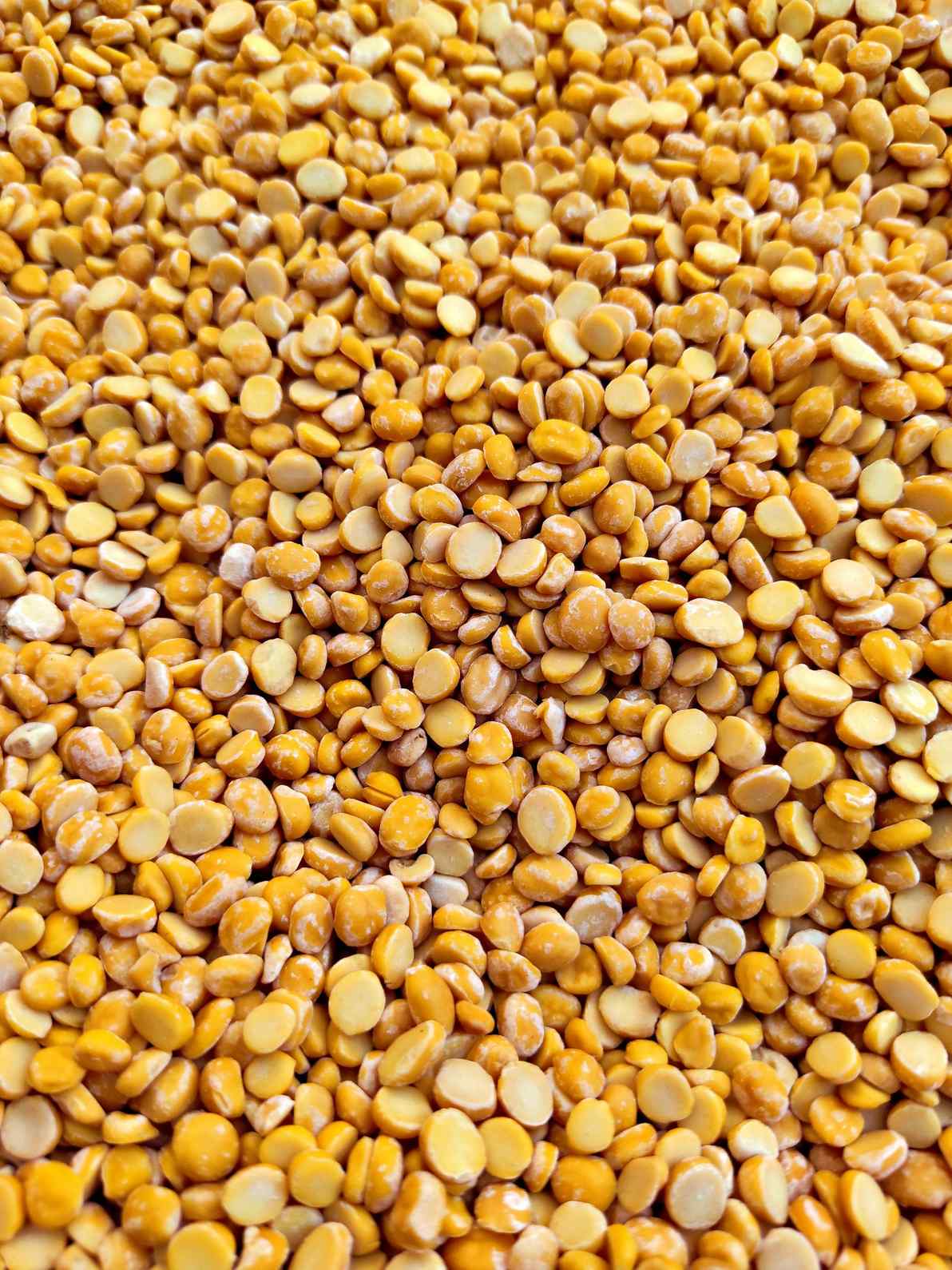 Channa Dal Split