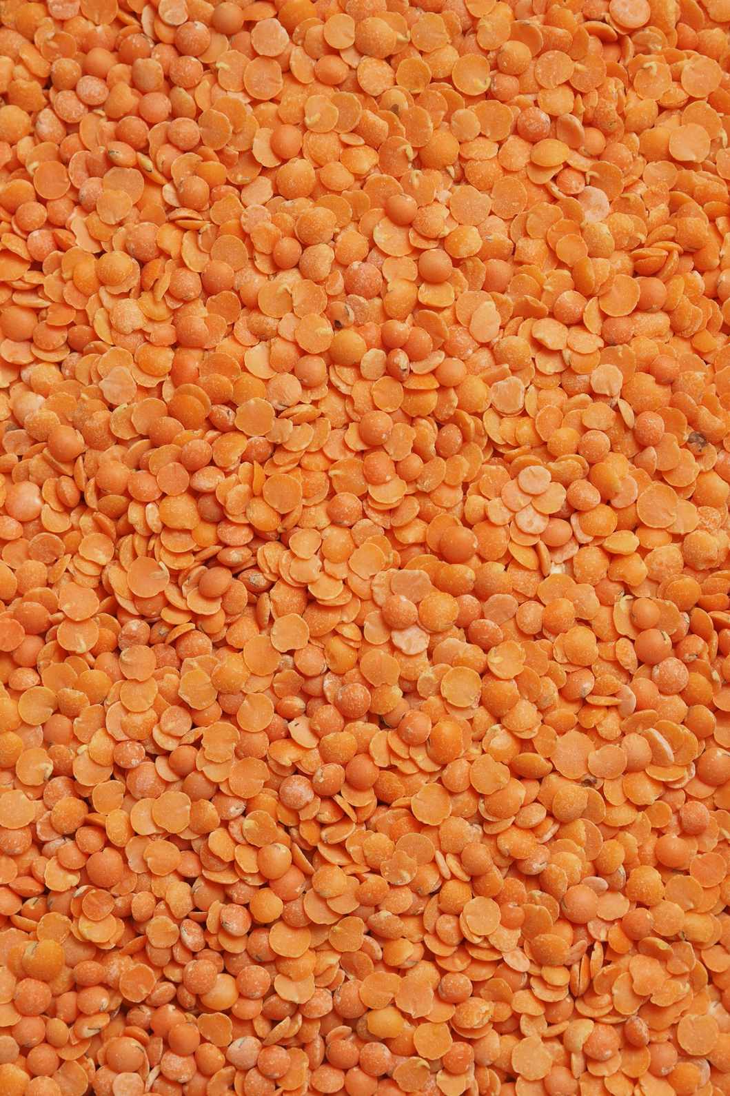 Red Massordal Splited