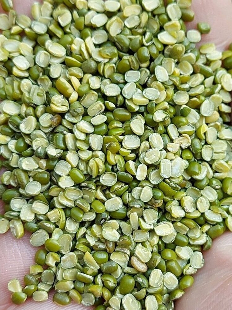 Split-Green-Gram