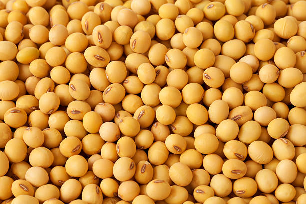 Yellow Beans